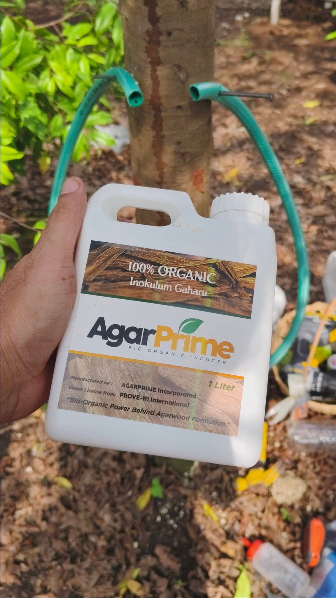A one-liter AgarPrime bottle beside an Aquilaria tree during field application